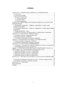 Întreprinderea în mediul competitiv - studiu de caz realizat la SC Upetrom - 1 mai SA Ploiești - Pagina 2