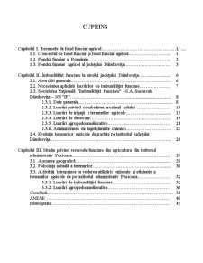 Politica de folosire rațională și eficientă a resurselor funciare din agricultură - studiu de caz - Județul Dâmbovița - Pagina 2