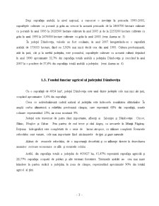 Politica de folosire rațională și eficientă a resurselor funciare din agricultură - studiu de caz - Județul Dâmbovița - Pagina 5