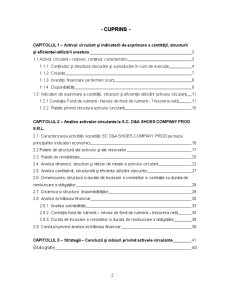 Dimensionarea și Analiza Activelor Circulante - Pagina 2