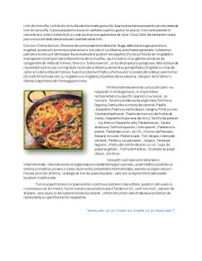Turism Gastronomic în Spania - Pagina 4