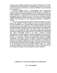 Cultura Managerială în România - Pagina 4