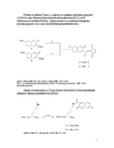 Aminoacizi nenaturali derivați ai lizinei - Pagina 3