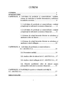 Analiza activității de producție și comercializare la SC Argteg SA - Pagina 3