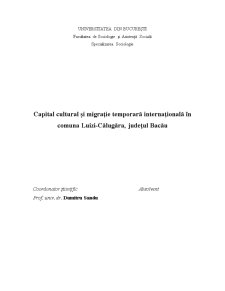 Capital cultural și migrație temporară internațională în comuna Luizi-Călugăra, Județul Bacău - Pagina 2
