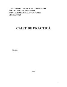 Caiet de practică - SC 9 Optiune SRL - Pagina 1