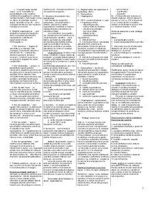 Componentele macromediului întreprinderii - Pagina 3