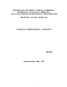 Familia Umbeliferae - Anasonul - Pagina 1