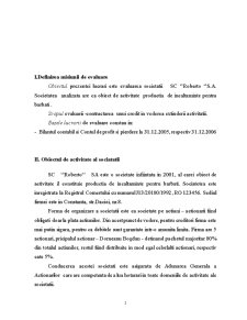 Evaluare la SC Roberto SA - producție încălțăminte bărbați - Pagina 3