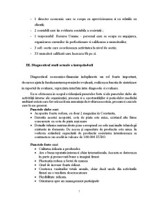 Evaluare la SC Roberto SA - producție încălțăminte bărbați - Pagina 5