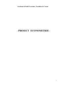 Referat Econometrie - Pagina 1