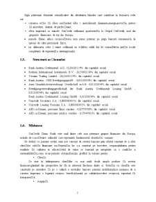 Managementul riscului de credit - Unicredit Țiriac Bank - Pagina 5