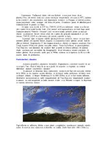 Tian-Shan - Munții Cerului - Pagina 5