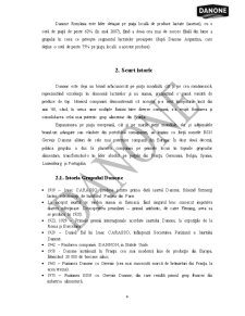 Studiu de Caz - Danone - Pagina 4