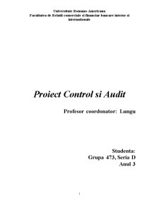 Proiect Control și Audit - Pagina 1