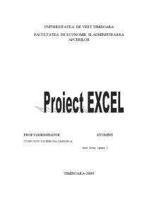 Proiect Excel - Pagina 1