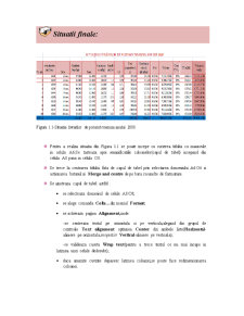 Proiect Excel - Pagina 4