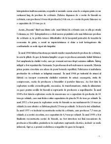 Raport Bucuria SA - Pagina 4