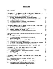 Studiul privind Activitatea Trezoreriei Publice pe Exemplul Municipiului Petroșani - Pagina 1