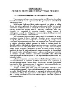 Studiul privind Activitatea Trezoreriei Publice pe Exemplul Municipiului Petroșani - Pagina 4