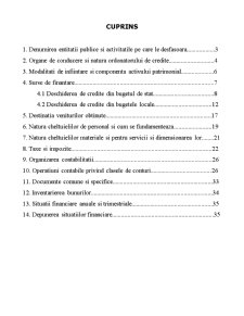 Monografie contabilă - Spitalul de Copii Botoșani - Pagina 2