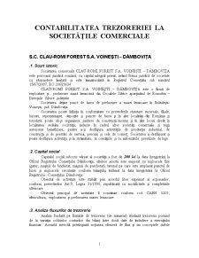 Contabilitatea trezoreriei la societățile comerciale - SC Clau-Romi Forest SA Voinești - Dâmbovița - Pagina 1