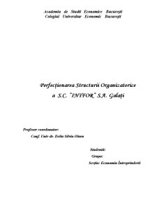 Perfecționarea structurii organizatorice a SC Intfor SA Galați - Pagina 1