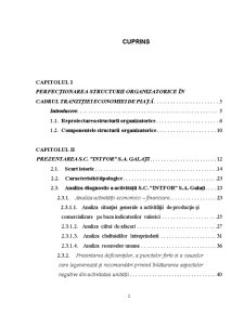 Perfecționarea structurii organizatorice a SC Intfor SA Galați - Pagina 2