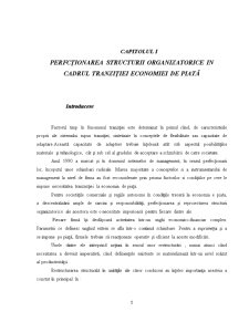 Perfecționarea structurii organizatorice a SC Intfor SA Galați - Pagina 5