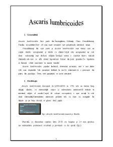 Controlul și expertiza produselor alimentare - Acaris Lumbricoides - Pagina 3