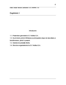 Analiza situației financiar-patrimonială a SC Nufărul SA - Pagina 4