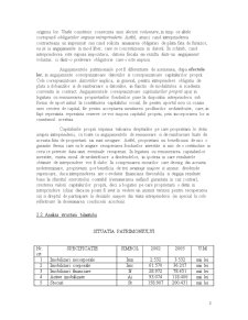 Analiza Situatiei Economico-Financiare SC Salajeanca SA - Pagina 5