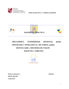 Organismul intermediar regional pentru programul operațional sectorial pentru dezvoltarea resurselor umane - regiunea nord-est - Pagina 1
