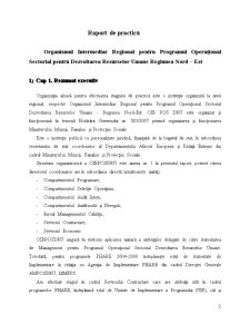 Organismul intermediar regional pentru programul operațional sectorial pentru dezvoltarea resurselor umane - regiunea nord-est - Pagina 2