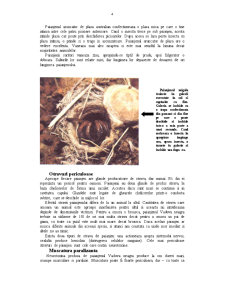 Păianjenii - Pagina 4