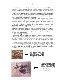 Păianjenii - Pagina 5