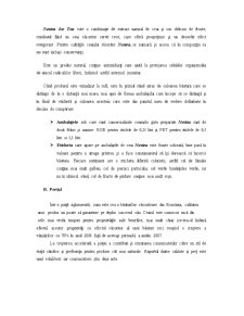 Analiza Nestea - Comportamentul Concumatorului - Pagina 5
