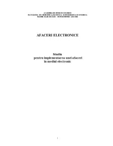 Studiu pentru Implementarea unei Afaceri în Mediul Electronic - Pagina 1