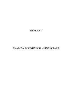 Analiză Economico-Financiară - Pagina 1