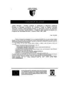 Practică Consiliul Județean Botoșani - Pagina 1