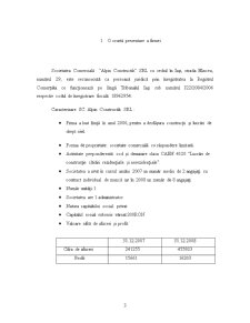 Analiza Costurilor la Societatea Comercială Alpin Constructik SRL - Pagina 3