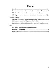 Restructurarea Sistemului Managerial în Condițiile Economiei de Piață în Baza Materialelor SC Alexios-Trans SRL - Pagina 2
