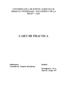 Caiet de practică - SC Danubiana Roman SA - Pagina 1