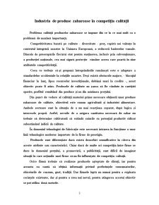 Caiet de practică - SC Danubiana Roman SA - Pagina 3