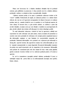 Caiet de practică - SC Danubiana Roman SA - Pagina 4