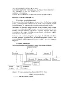 Managementul Sistemelor Informatice Europene - Pagina 1