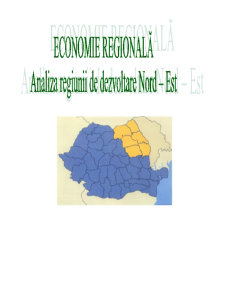 Economie regională - analiza regiunii de dezvoltare nord - est - Pagina 1