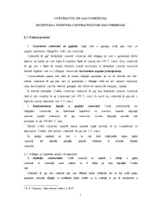 Contractul de Gaj Comerial și Comodat - Pagina 1
