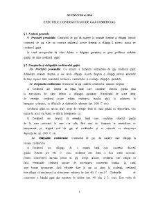 Contractul de Gaj Comerial și Comodat - Pagina 5