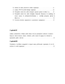 Raport de Practica - Pagina 2
